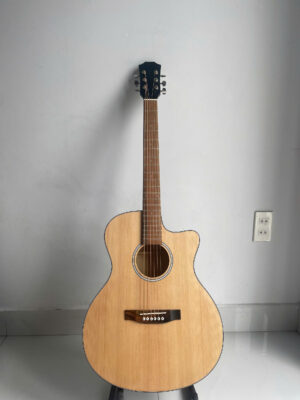 AHE-01T