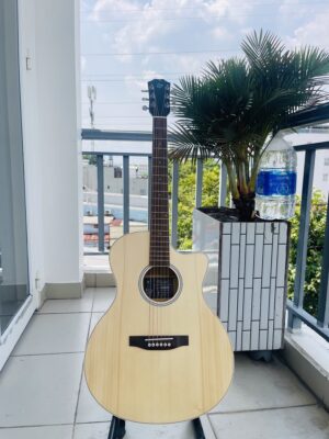 AHE-01T